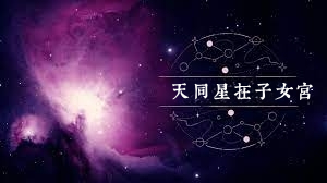 天同星在子女宮