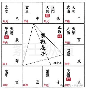 丙午年十二基本盤流年運勢—紫微坐子、午