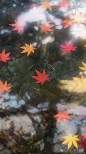 紫微斗數·論田宅宮看家運風水