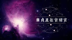 廉貞星在官祿宮