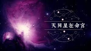 天同星在命宮