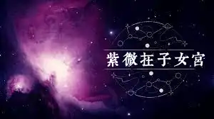 紫微星在子女宮