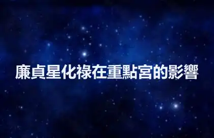 廉貞星化祿在重點宮的影響