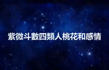 紫微斗數四類人桃花和感情