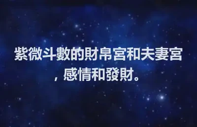 紫微斗數的財帛宮和夫妻宮，感情和發財。