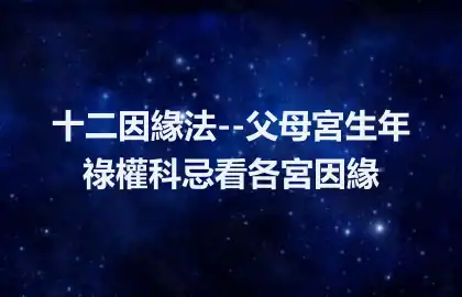 十二因緣法--父母宮生年祿權科忌看各宮因緣