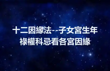 十二因緣法--子女宮生年祿權科忌看各宮因緣