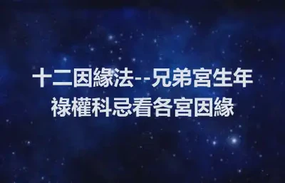 十二因緣法--兄弟宮生年祿權科忌看各宮因緣