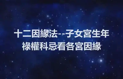 十二因緣法--子女宮生年祿權科忌看各宮因緣