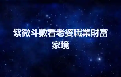  紫微斗數看老婆職業財富家境
