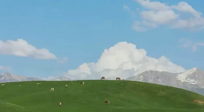 十四主星代表的通俗物象與職場形象