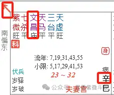 紫微斗數專題精講篇—論自化