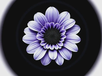 什麼是三方四正和六條本對一線？